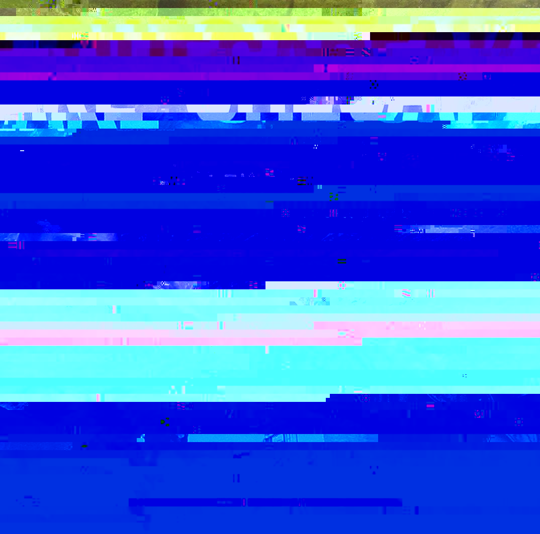 71bRmU5AhNL._SL1074_.jpg