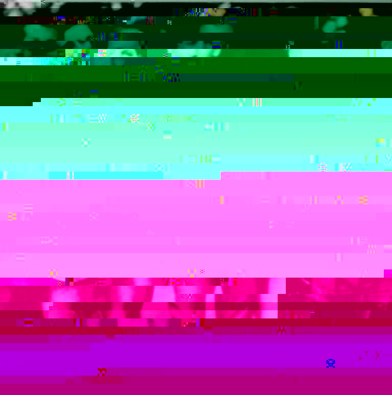 005.jpg